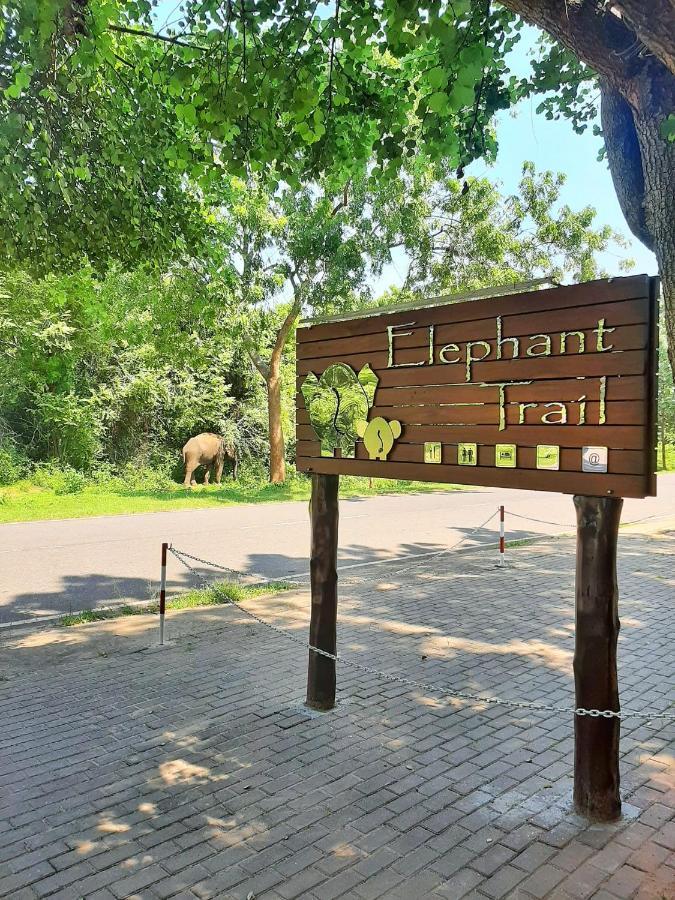 Elephant Trail Udawalawe Esterno foto